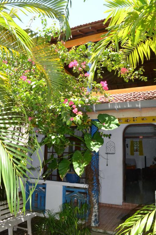 Bougain Villa Guesthouse Mirissa Exterior photo